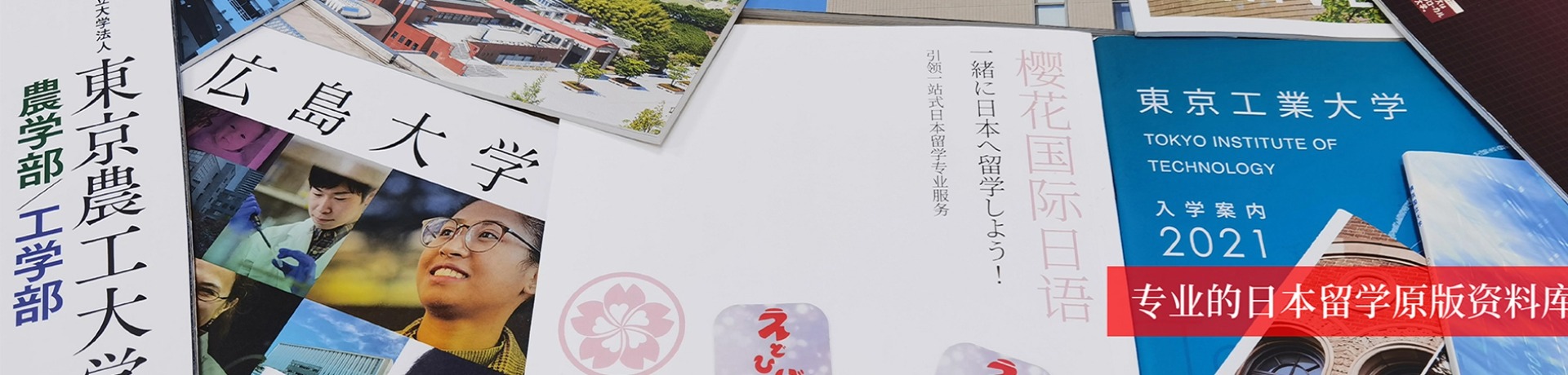 樱花国际日语