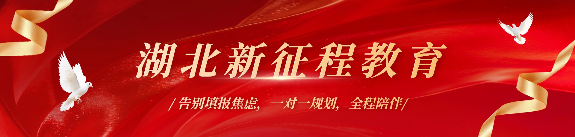 湖北新征程教育