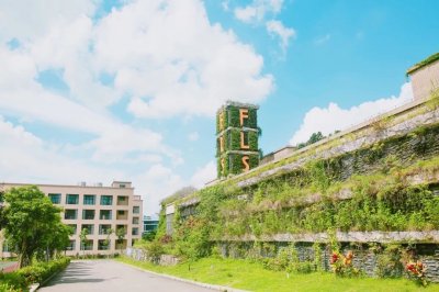 学校实景