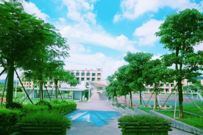 学校实景