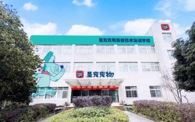 学校实景