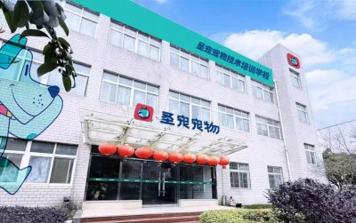 学校实景