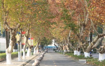 学校实景