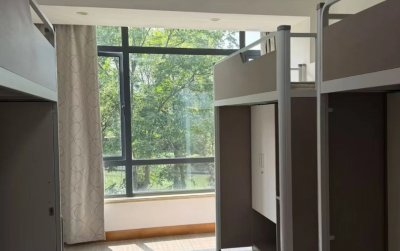 学校实景