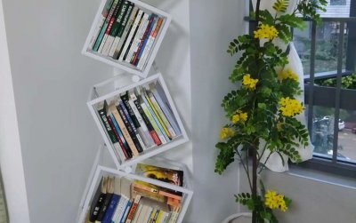 学校实景