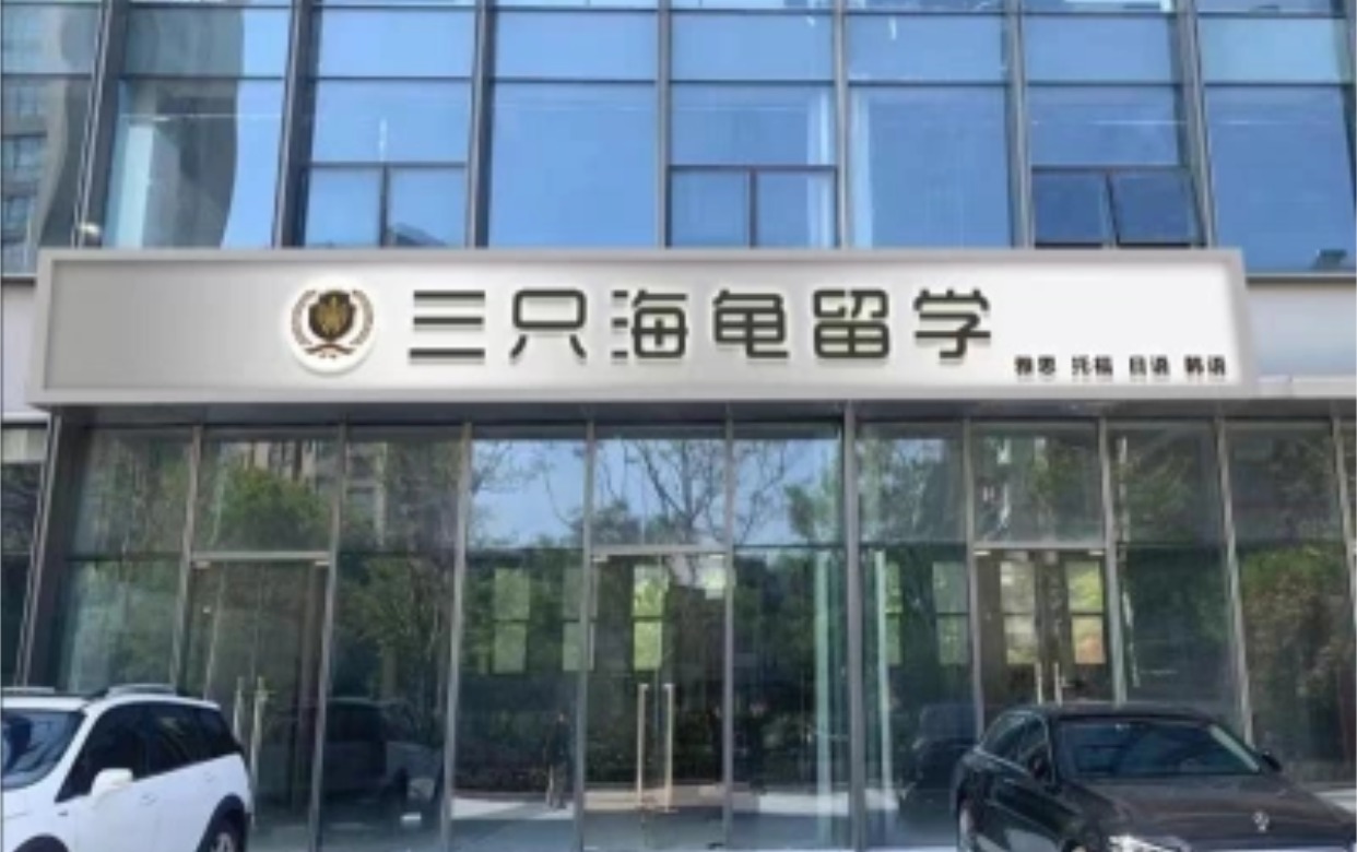 三只海龟教育
