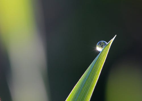 咨询工程师成绩一般多久出来