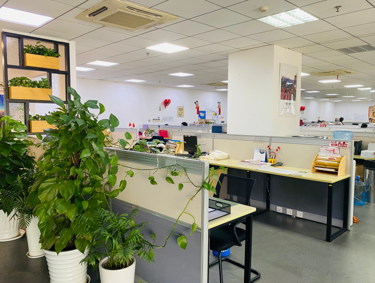 远播留学学校环境
