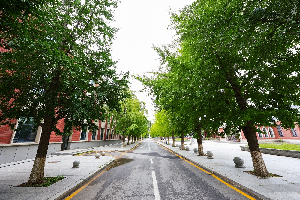 沈阳哈珀国际学校环境