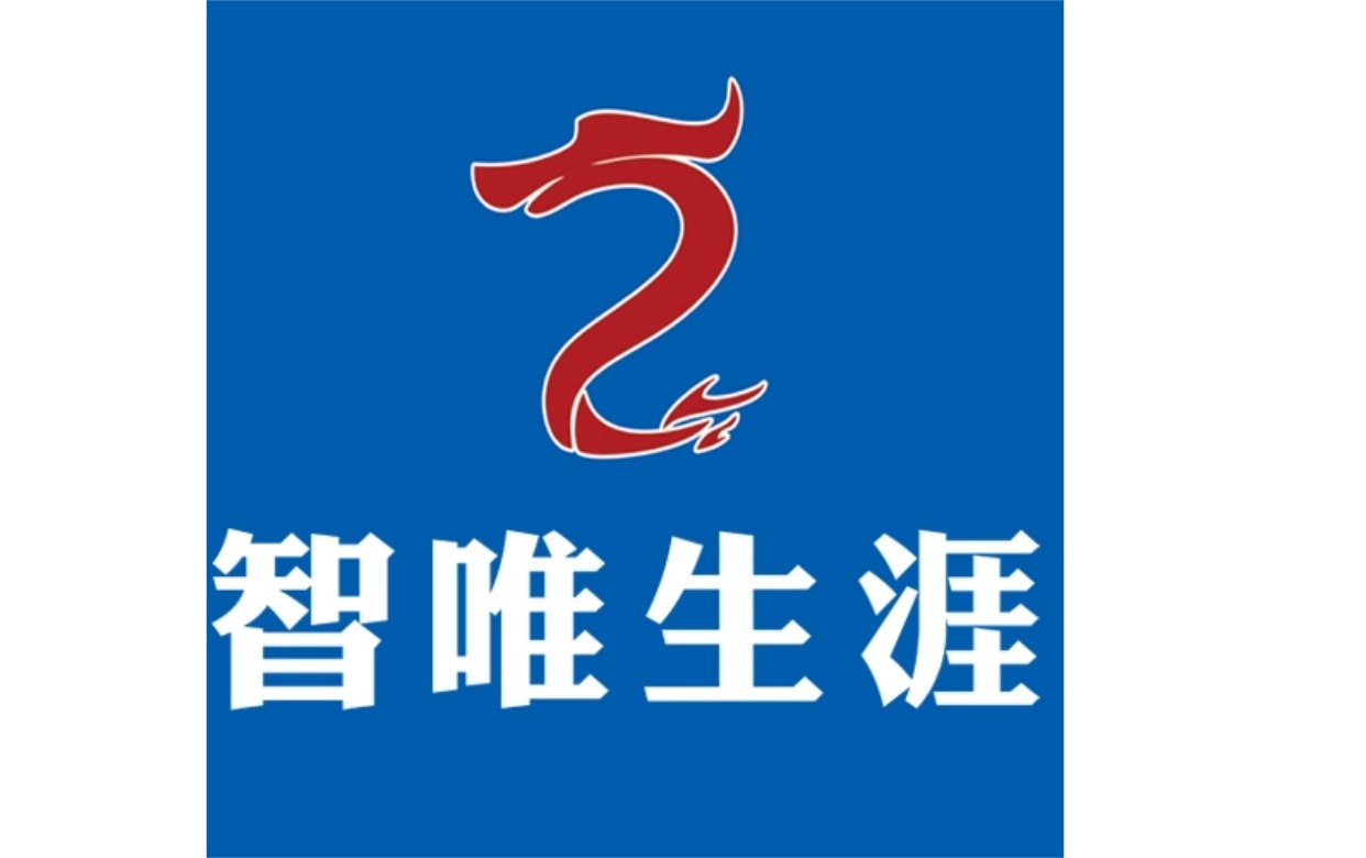 智唯伴学教育logo