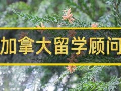 六盘水去加拿大留学中介 