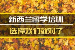 咸宁去新西兰留学中介 