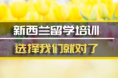 孝感新西兰留学机构 