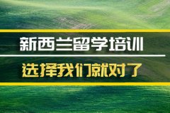 湖州去新西兰留学中介 