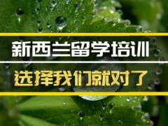 孝感去新西兰留学中介 