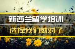 延安去新西兰留学中介 