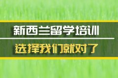 娄底去新西兰留学中介 