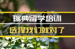 山东去瑞典留学中介�