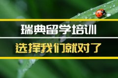 池州去瑞典留学中介 