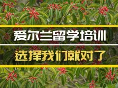 深圳爱尔兰留学机构�