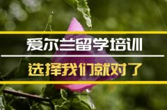 嘉峪关去爱尔兰留学中介�