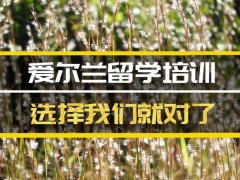 贵州去爱尔兰留学中介�