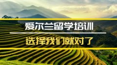 商洛去爱尔兰留学中介 