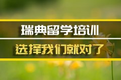 辽宁去瑞典留学中介 
