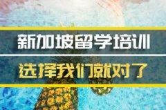 贵港新加坡留学机构 