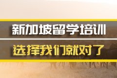 达州新加坡留学机构 