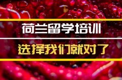 南宁去荷兰留学中介 