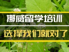 如何申请留学挪威 