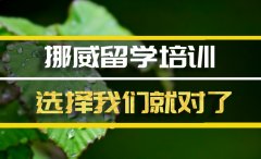 去挪威留学如何申请 