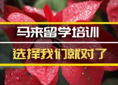 延安马来西亚留学机构 