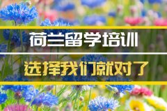 宣城荷兰留学机构 