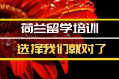 南宁荷兰留学机构 