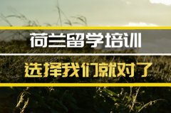 昌都去荷兰留学中介 