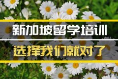 铜陵去新加坡留学中介�