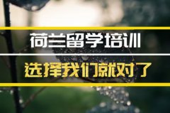 延安荷兰留学机构 