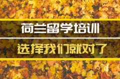 宣城去荷兰留学中介 