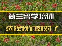 七台河去荷兰留学中介�