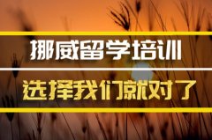 山东去挪威留学中介 