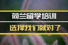 天津荷兰留学机构�