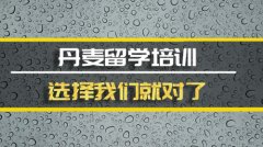 黄石去丹麦留学中介 