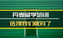 张家界丹麦留学机构 