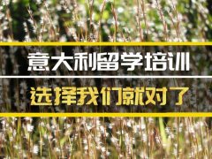 滨州去意大利留学中介 