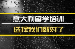 金昌意大利留学机构 