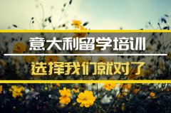 延边去意大利留学中介 