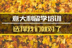 西藏去意大利留学中介 