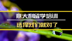 濮阳去意大利留学中介 